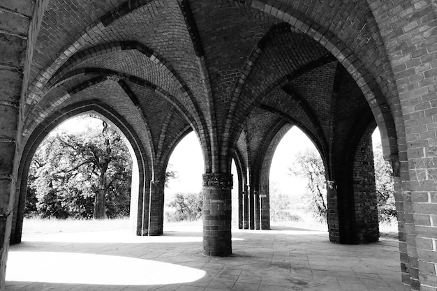 Photo low angle view of columns in park