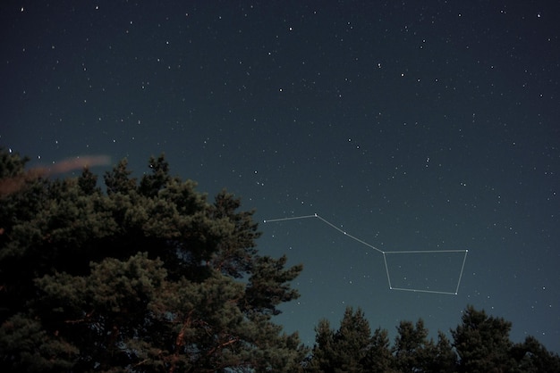 夜空の星座の低角度の眺め