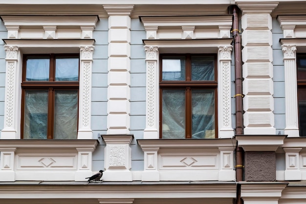 Foto vista ad angolo basso di un corvo appoggiato su un edificio