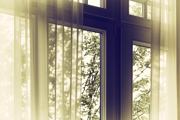 low angle view of curtains on window