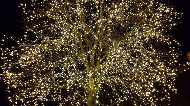 Foto vista ad angolo basso di un albero decorativo illuminato di notte