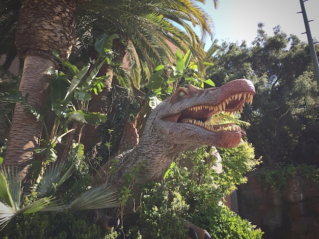 Foto vista a bassa angolazione della statua di dinosauro dagli alberi agli universal studios