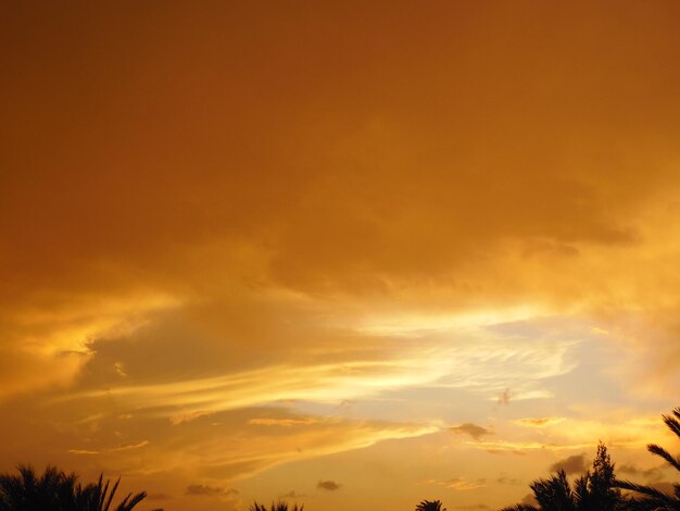 Low angle view of dramatic sky during sunset