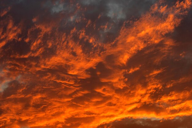 Photo low angle view of dramatic sky during sunset