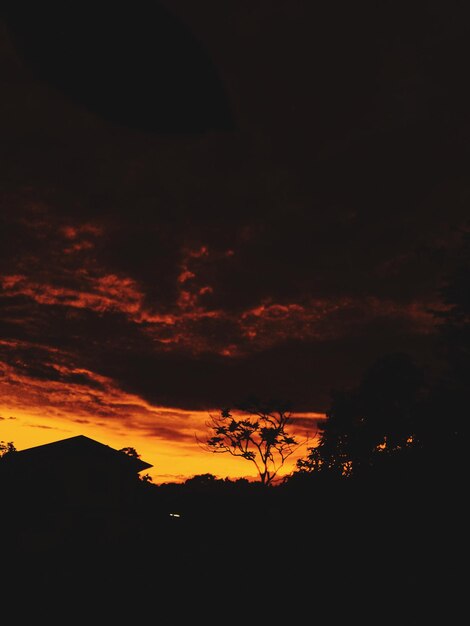 Photo low angle view of dramatic sky during sunset