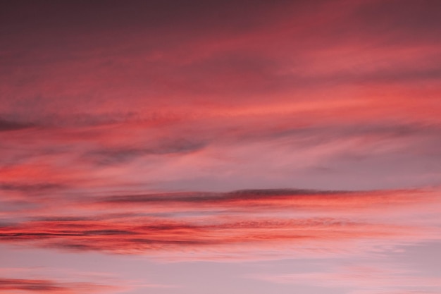 Red Sky Images - Free Download on Freepik