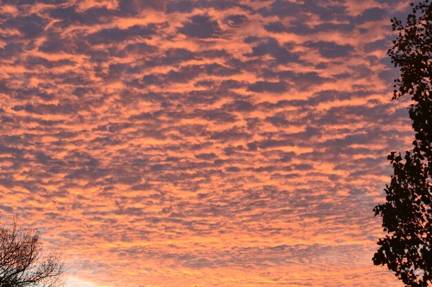 Low angle view of dramatic sky during sunset