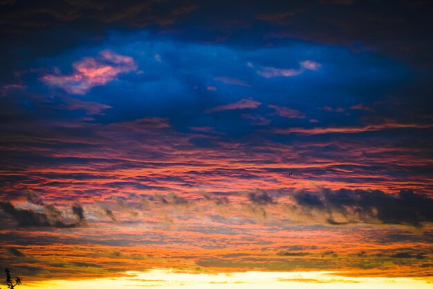 Foto vista a basso angolo del cielo drammatico durante il tramonto