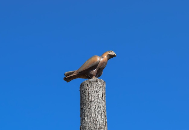 Low angle view of eagle perching against clear blue sky