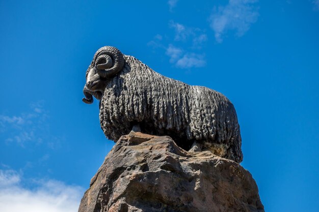 Low angle view of eagle on rock