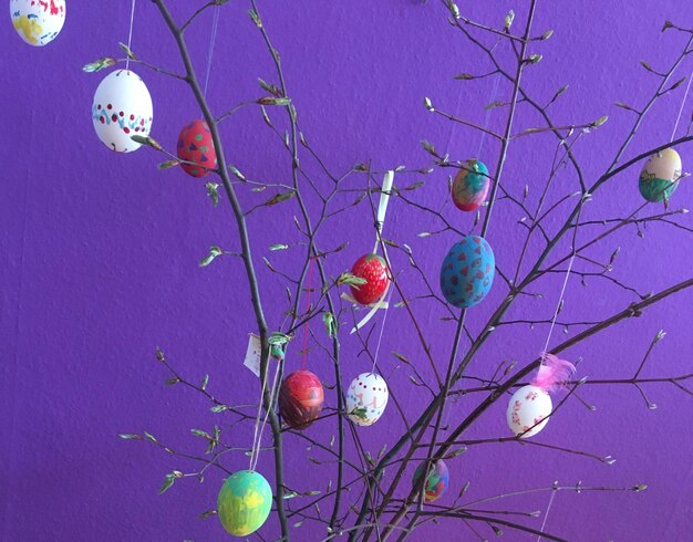 Low angle view of easter eggs hanging on tree