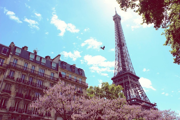 Foto vista a bassa angolazione della torre eiffel contro il cielo in città