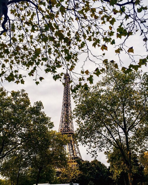 Low angle view of eiffel tower in city amidst trees against sky