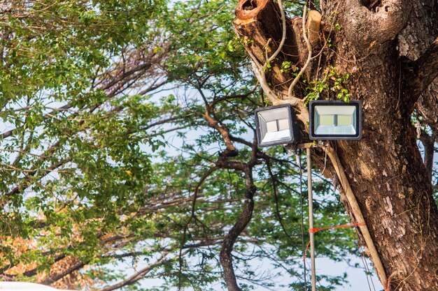 Photo low angle view of electric lamp hanging on tree