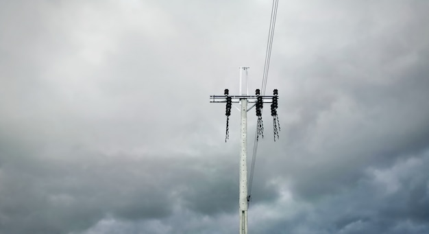 暗い曇りの嵐の空に対して電柱とケーブルの低角度のビュー