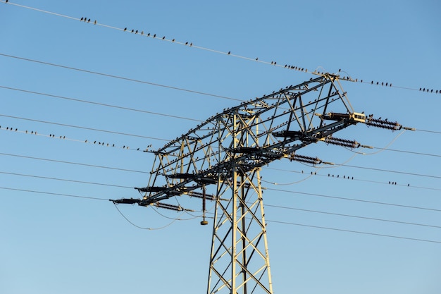 Foto vista a bassa angolazione del pilone elettrico contro un cielo blu chiaro