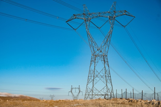 Foto vista a basso angolo del pilastro elettrico sul campo contro un cielo limpido