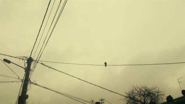 Low angle view of electricity pylon