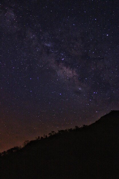 Foto vista a basso angolo del campo contro il cielo notturno