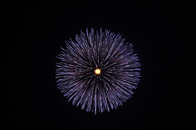low angle view of firework display against sky at night