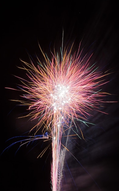 Foto vista a basso angolo di fuochi d'artificio contro il cielo notturno