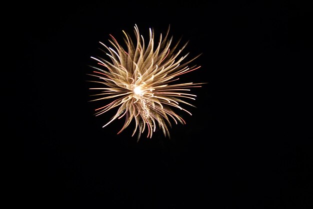 Foto vista a basso angolo di fuochi d'artificio contro il cielo notturno