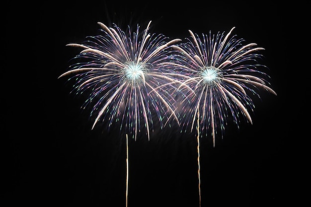 Foto vista a basso angolo di fuochi d'artificio contro il cielo notturno