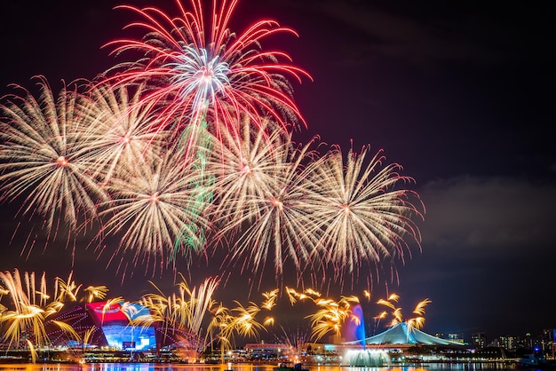 夜の湖上の花火の低角度の景色