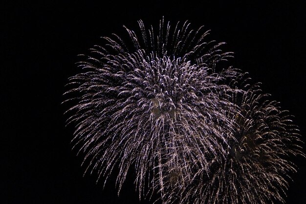 夜の花火の低角度の景色