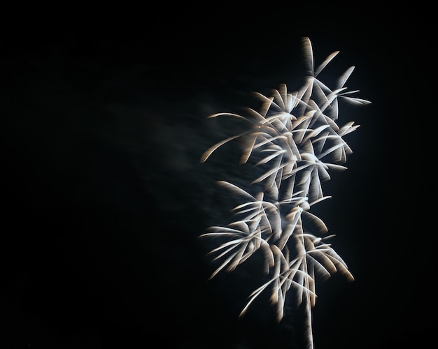 Photo low angle view of firework display at night