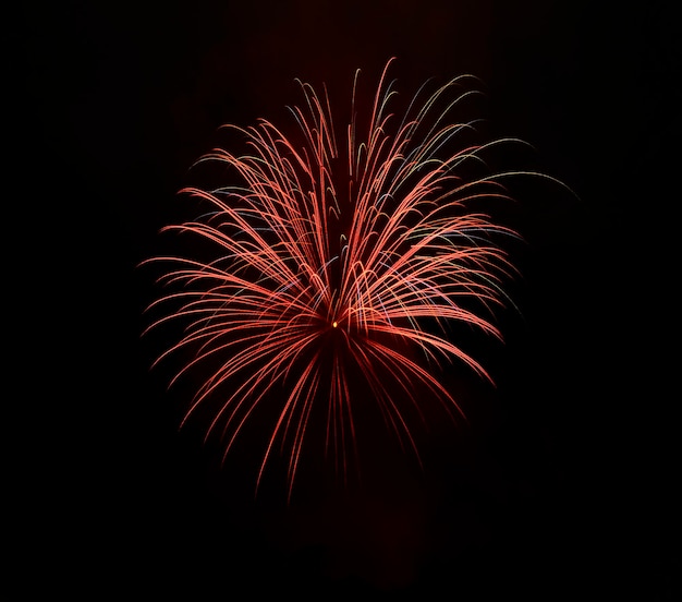 Low angle view of firework display at night