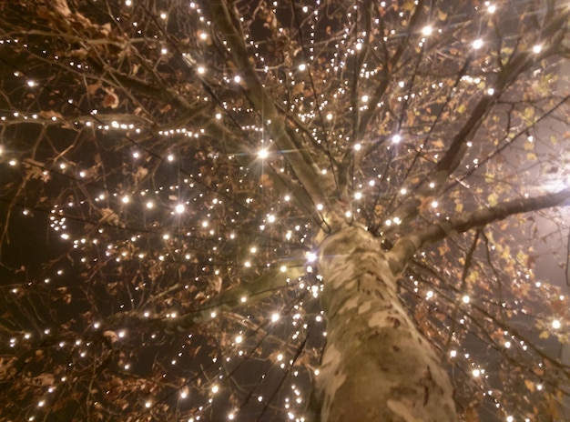 Low angle view of firework display at night