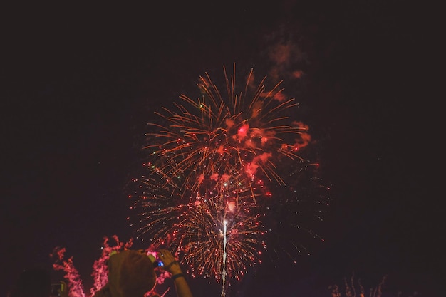 Low angle view of firework display at night