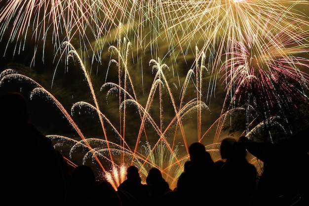 low angle view of firework display at night