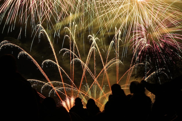 Foto vista a basso angolo dello spettacolo di fuochi d'artificio di notte