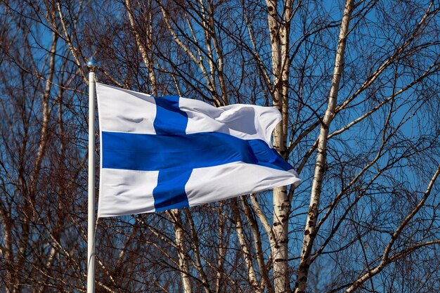 low angle view of flag against blue sky