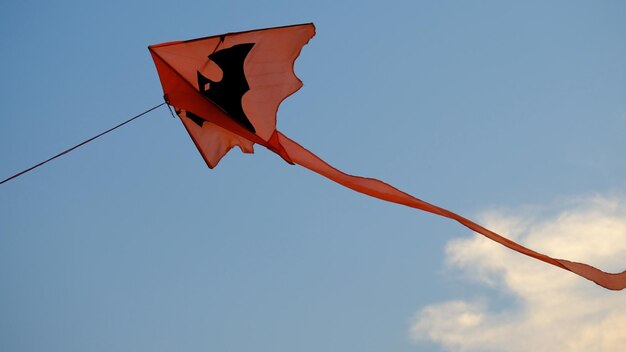 Foto vista a basso angolo della bandiera contro il cielo