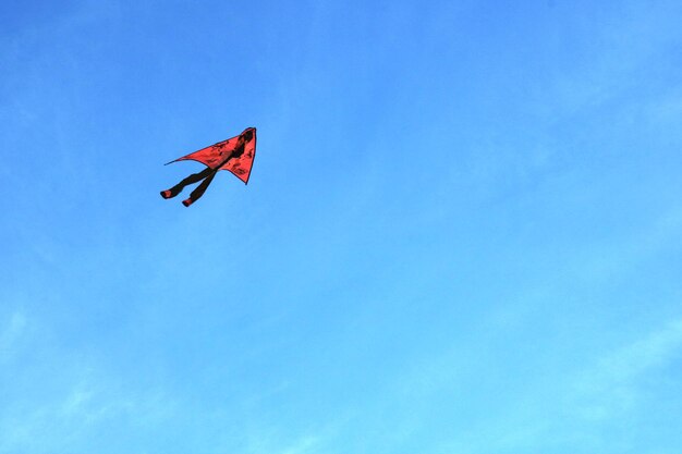 Low angle view of flag against sky