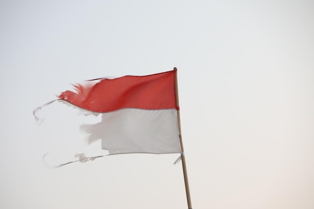 Photo low angle view of flag against white background