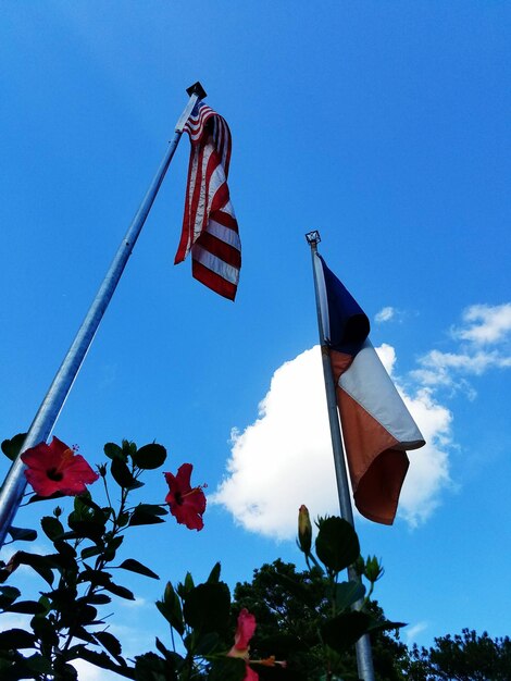 Low angle view of flags against blue sky