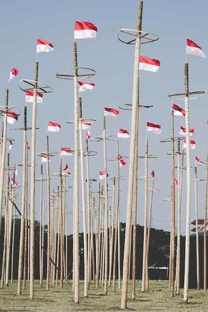Low angle view of flags on field against sky