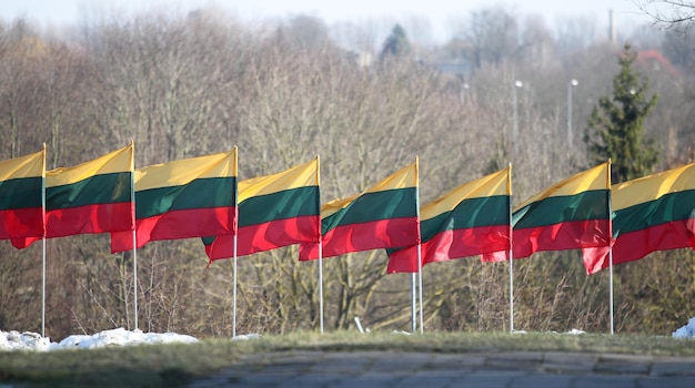 Photo low angle view of flags