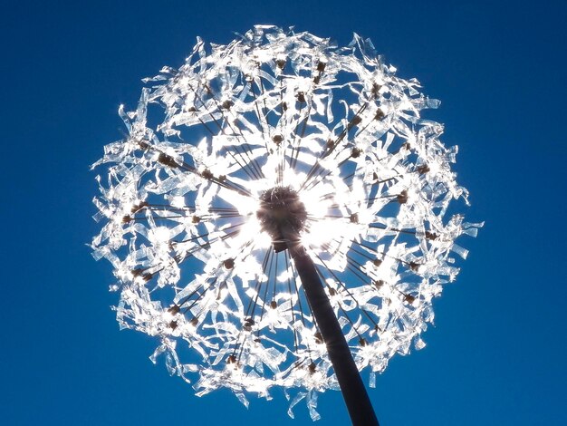 Low angle view of flower against clear blue sky