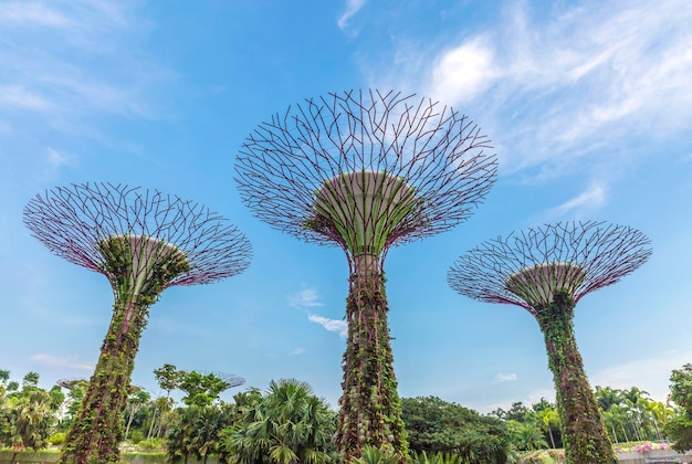 Foto vista a basso angolo di una pianta in fiore contro il cielo