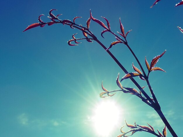 Low angle view of flowering plants against blue sky