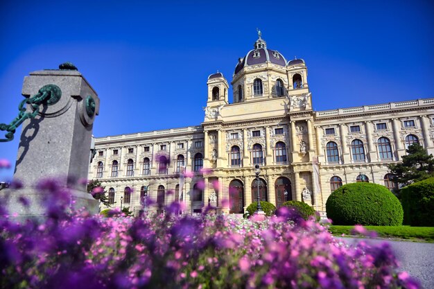 Low angle view of flowering plants against blue sky