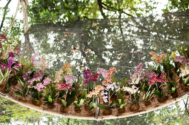 Photo low angle view of flowering plants on net against trees in yard