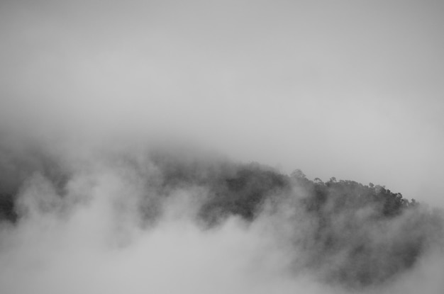 Foto vista a basso angolo della nebbia contro il cielo