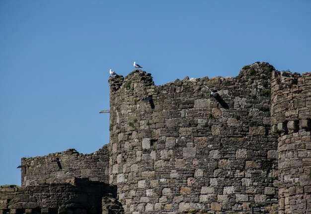 Photo low angle view of fort against clear sky