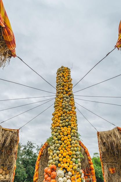 Foto vista a basso angolo di frutta appesa contro il cielo